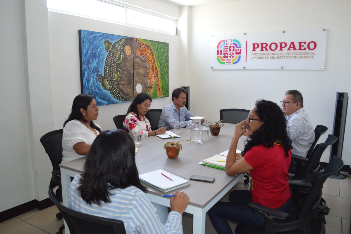 PROPAEO_OAX's tweet photo. Personal de la #PROPAEO encabezados por @JErnestoRuiz, se reunieron con la Autoridad Municipal de la Villa de Etla, se revisaron las acciones a implementarse para cumplir con la normatividad ambiental e implementar buenas practicas en el manejo de sus Residuos Sólidos. @salomonj https://t.co/3S6yDSwscW