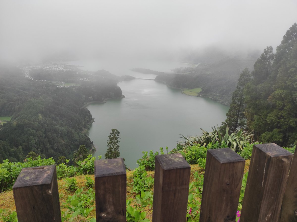 Hits_Diogo's tweet photo. Recentemente fui à ilha de São Miguel passar umas férias e visitar uns amigos e queria partilhar aqui algumas cenas que gostei de lá🤗
-Kima > Laranjada ratio;
-Parque botânico Terra Nostra;
-Águas termais;
-Chá Correana;
-Jardim da Alameda;
-Plantação de 🍍;
-Salto do 🐐. https://t.co/jBjR7ug11U