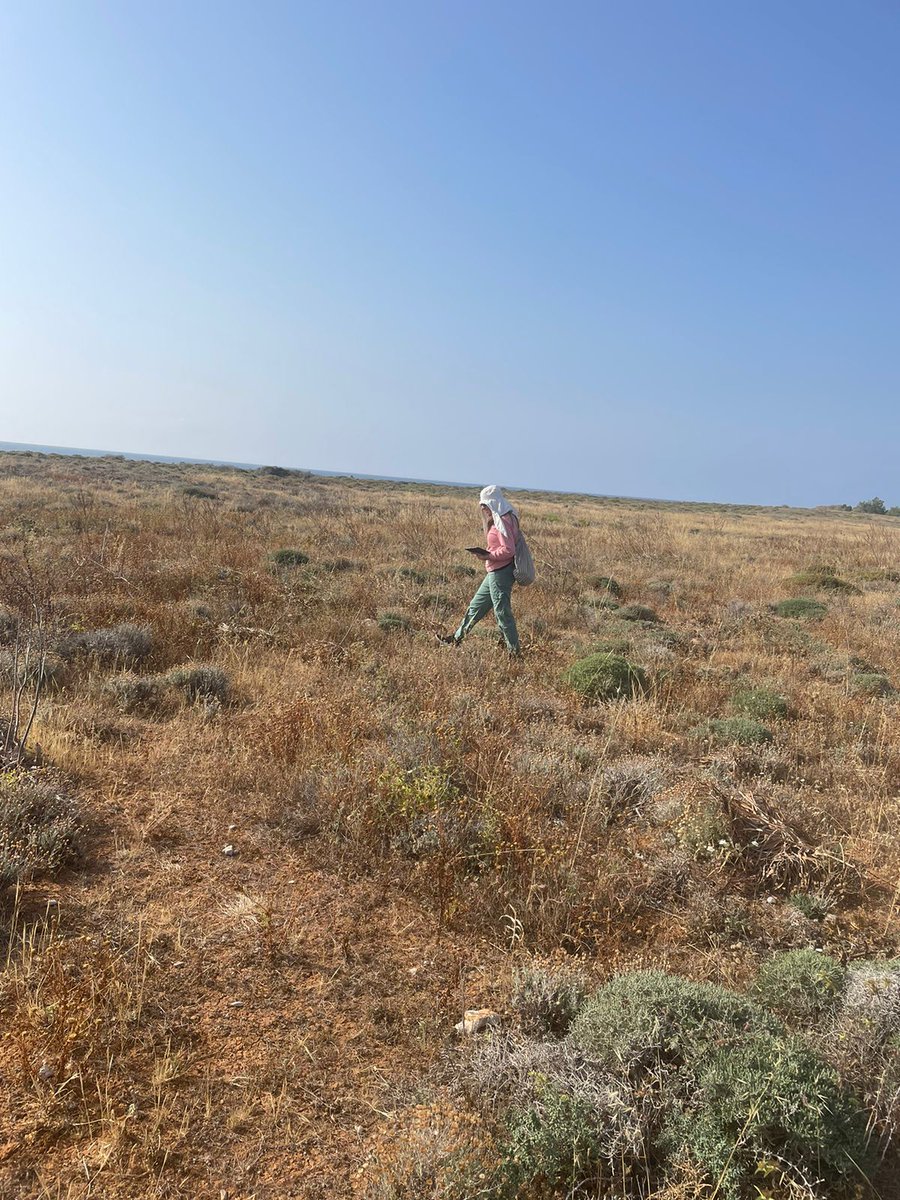 Maria Michael tweet media