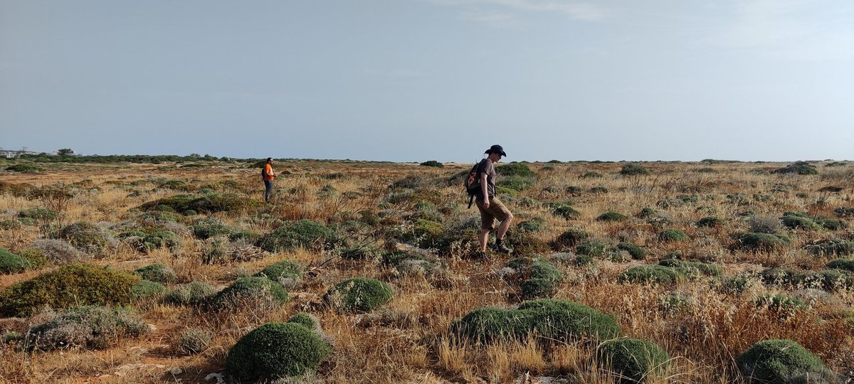 Maria Michael tweet media