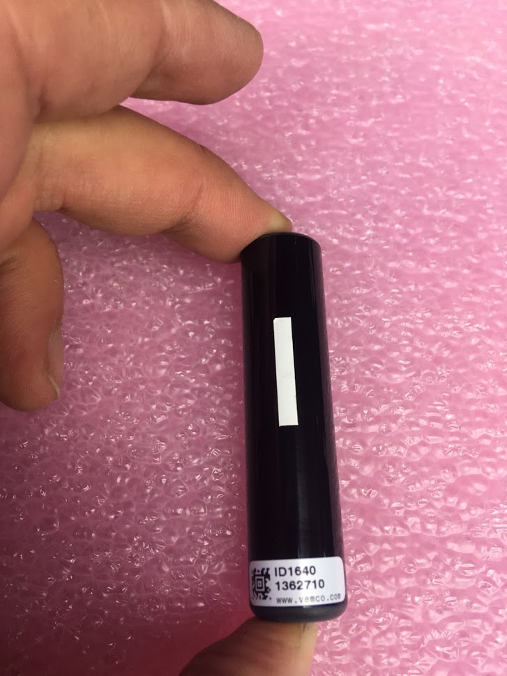 FishWildlifeON's tweet image. #LakeSimcoe anglers, it’s time to gear up! Lake trout and lake whitefish fishing season is upon us. 

If you catch a tagged fish, find out how to report it at facebook.com/FishWildlifeON…

#scienceON #aquaticresearch #fish #fishing #ontarioanglers #icefishing #fishingnews