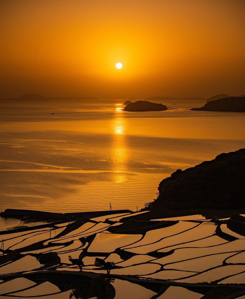 ✰.*•❤︎.•*✯.*•☾✵
         Good evening friends 
                            ✰.•*❤︎.*•✯.•*☾✵