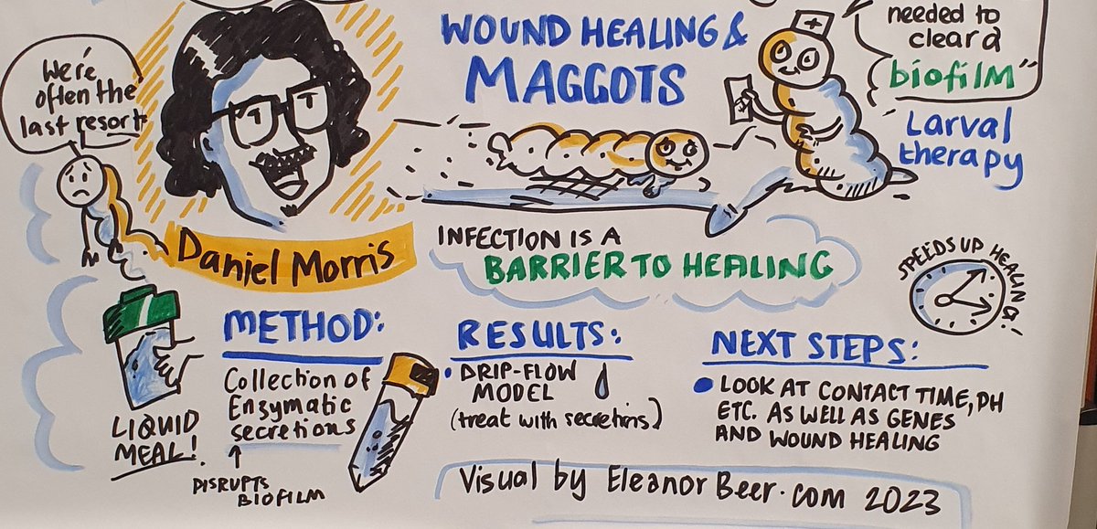yamnette's tweet photo. Fantastic talks @SwanseaUni today at the FMHLS PGR conference! @ioan_humphreys Well done! And what a brilliant maggot presentation  young Dan Morris! @DJM67 👏 https://t.co/7e3ft7aldl