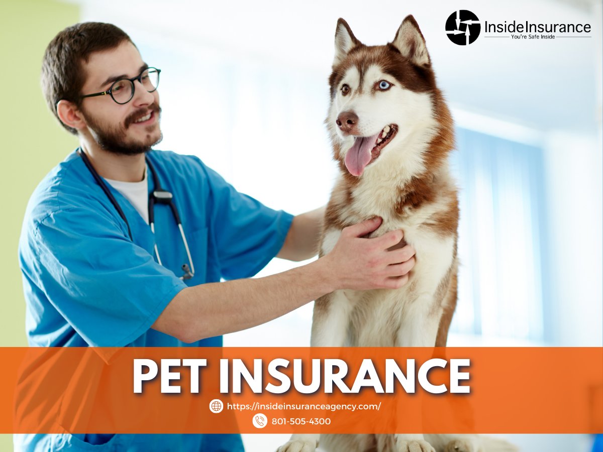 InsideInsSJ's tweet image. Pets bring so much joy into our lives, but they can also come with unexpected expenses. With our pet insurance plans, you can enjoy peace of mind knowing that pet's health is covered. Visit insins.cc/pet to learn more. 

#PetInsurance #InsideInsurance