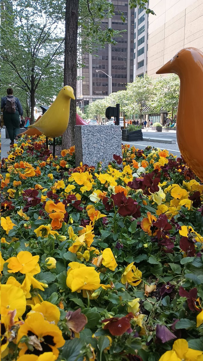 @asucaiper has arrived in #Toronto for @CAB_VIII_2023 - and @ASU colors were ready for us! So excited for #CAB2023!
#CABVIII #ITEAMByDesign #IPE #belongingness #humilityparadigm
@CAIPERBhEATLab @asunursing @nexusipe @NAPractice @macyfoundation @ASUResearch