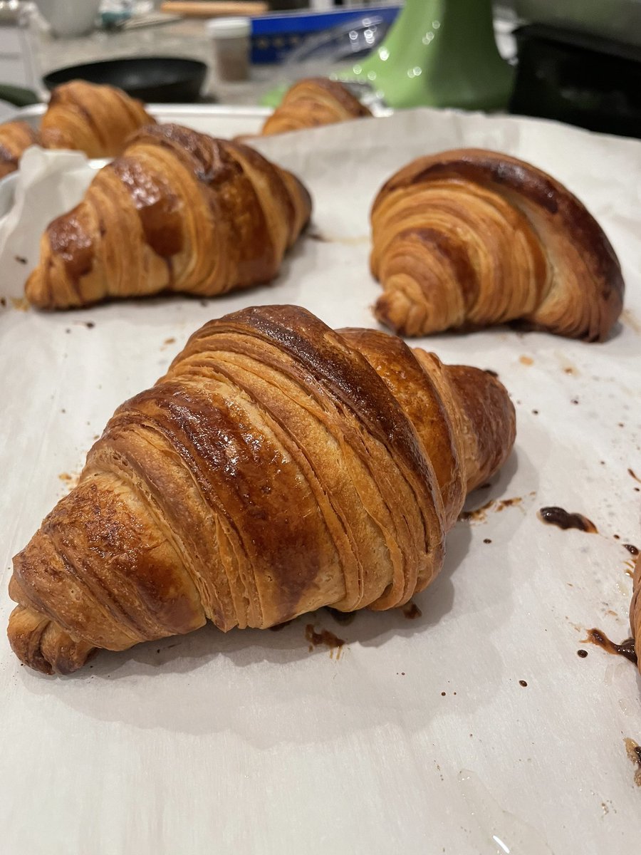 Lisa Trifone tweet media