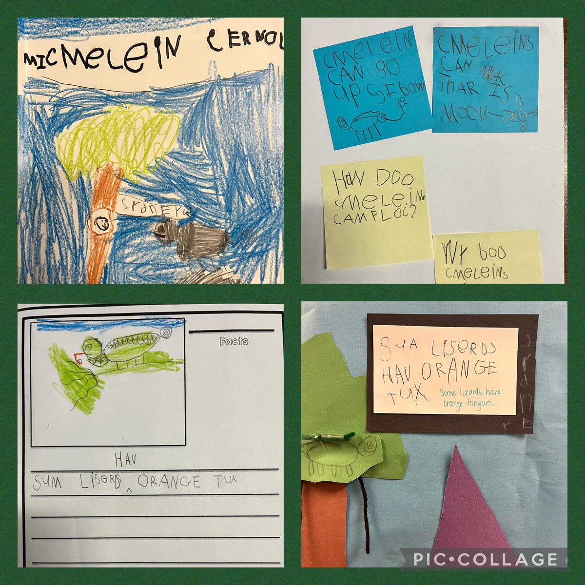 From start to finish, research about animals on the African savanna has captivated my little learners. They asked questions, wrote notes, researched and added their own little part to our great savanna scene. <a href="/HumbleISD_FCE/">Fall Creek Elem</a> #naturallykindergarten