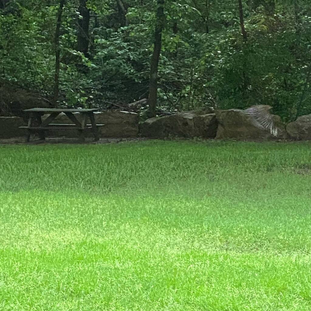CountryDsgnStyl's tweet photo. Can you spot the hawk? https://t.co/AnqRWAB5IF https://t.co/eYNLjUS1rv