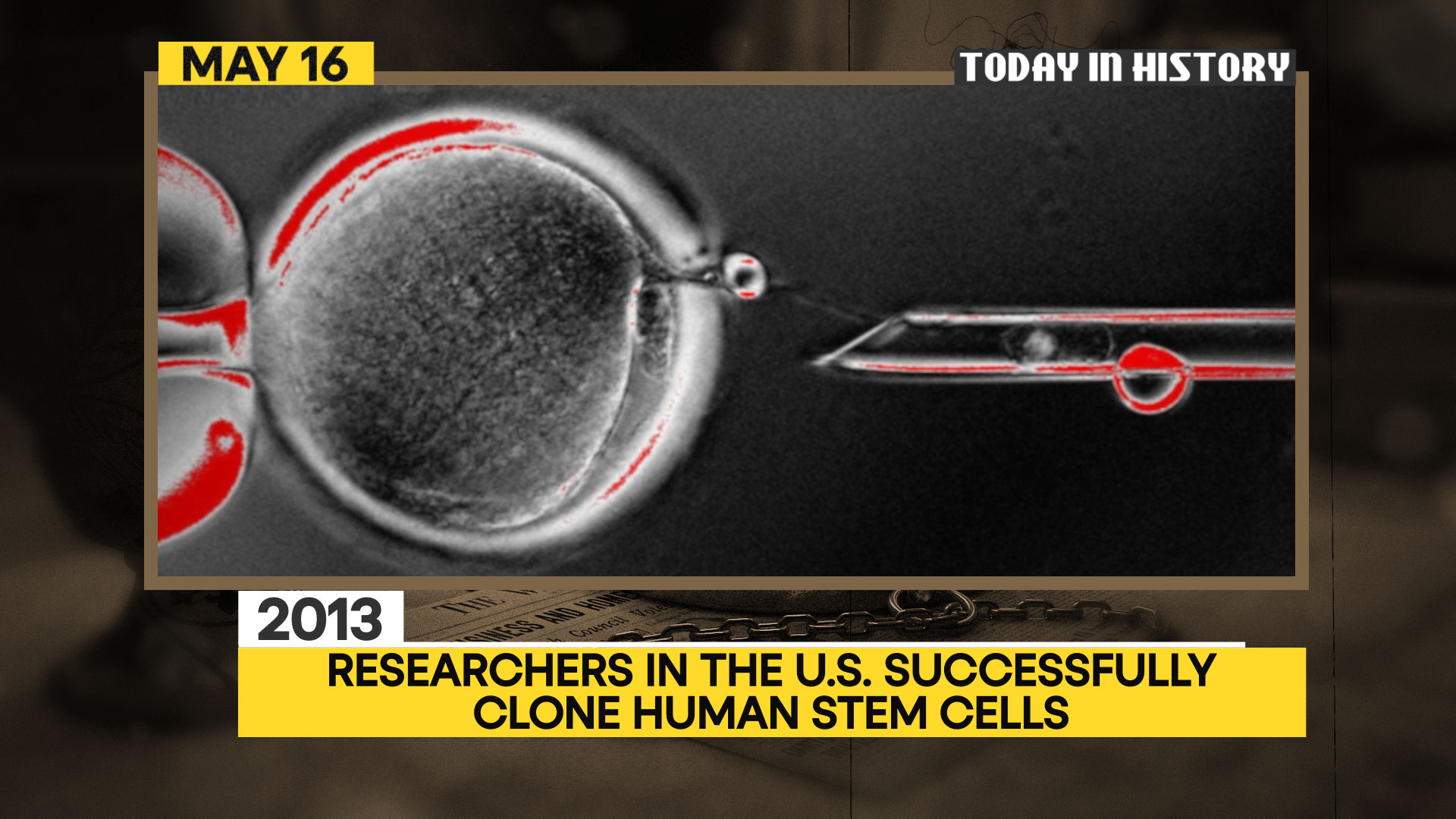 WION on X: "#TodayInHistory | 2013: Researchers in the US ...