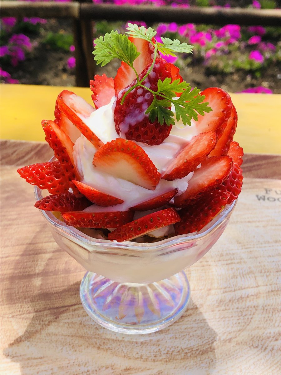 こんにちは☺️
本日、朝霧高原フルーツカフェ営業中です🍓
日中は暑くなる予報ですので、そんな時はパフェを食べて涼んでください❗
皆様のご来店お待ちしております🍓

#朝霧高原フルーツカフェ