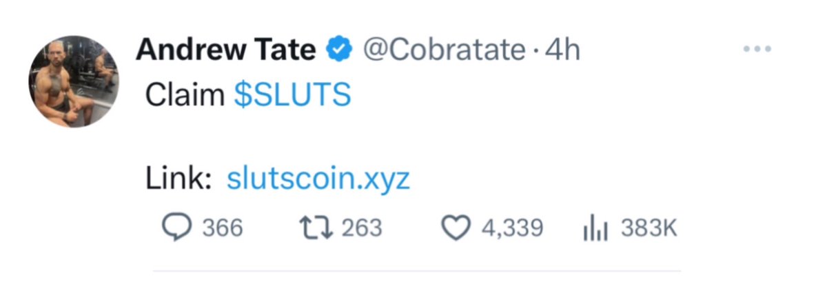 SonsPepe's tweet photo. @slutscoin_eth https://t.co/t2UujaVGP1