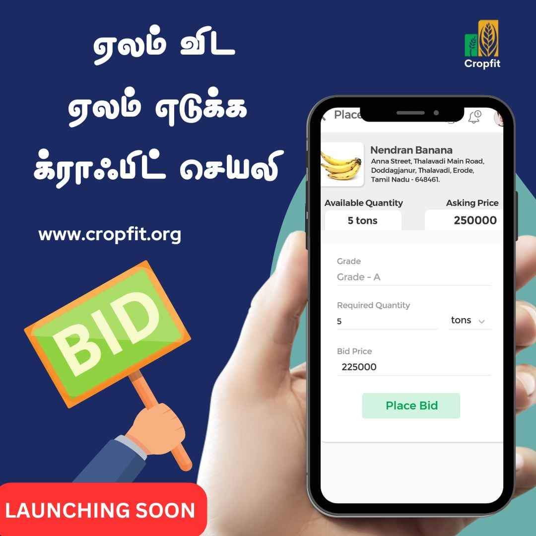 SuKannaiyan's tweet photo. விவசாயிகளின் பெரும் முயற்சியில் உருவாக்கப்பட்ட நமது க்ராஃபிட் செயலியில் ஏலம் விடவும் எடுக்கவும் வசதிகள் உள்ளது. இது விவசாயிகளுக்கு பரந்த சந்தை வாய்ப்புகளை உருவாக்க, விளை பொருட்களுக்கு சரியான விலையை தாமே தேர்வு செய்ய உதவுகிறது
#cropfit #thalavadyfarmersfoundation #agtech #farmapp https://t.co/b2QesxsuA9