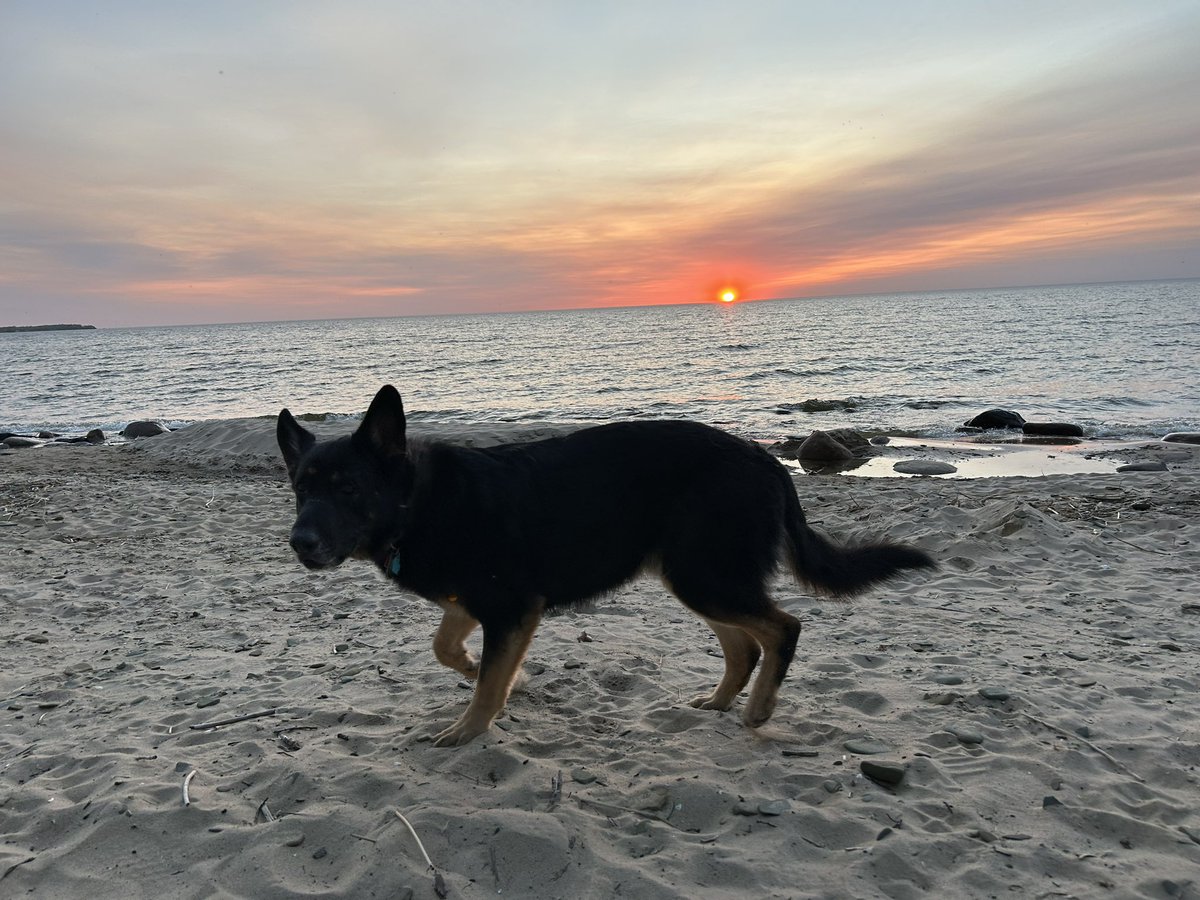 Sandra Svoboda tweet media