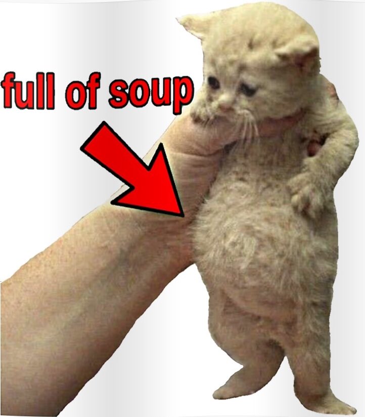 #ranboospace you look like a cat that's full of soup