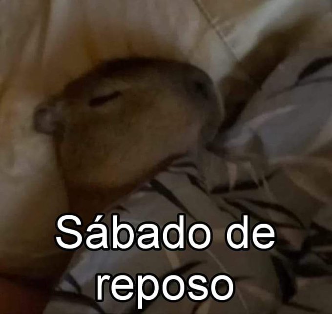 ya necesito https://t.co/95nok08LHY