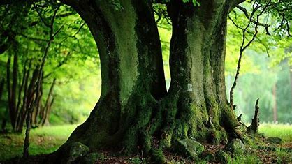 a parameter set by the Bitcoin protocol to regulate the average time between blocks. At a technical level, it is a measure of how difficult it is to find a hash below a given target.