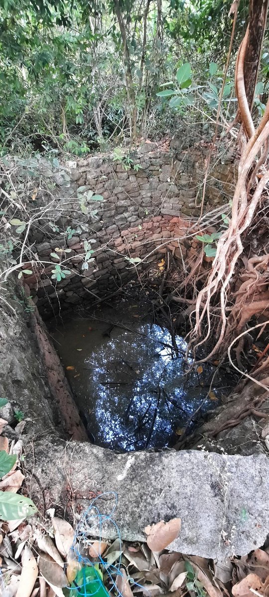 Mack_santo's tweet photo. Trying out Home-Made Minnow traps.
The traps were kept overnight and out of the 4 traps in 1 trap we were able to find Catfish.
#westernghats #minnowtrap #freshwater #trap #fishing https://t.co/nd8sculcgf