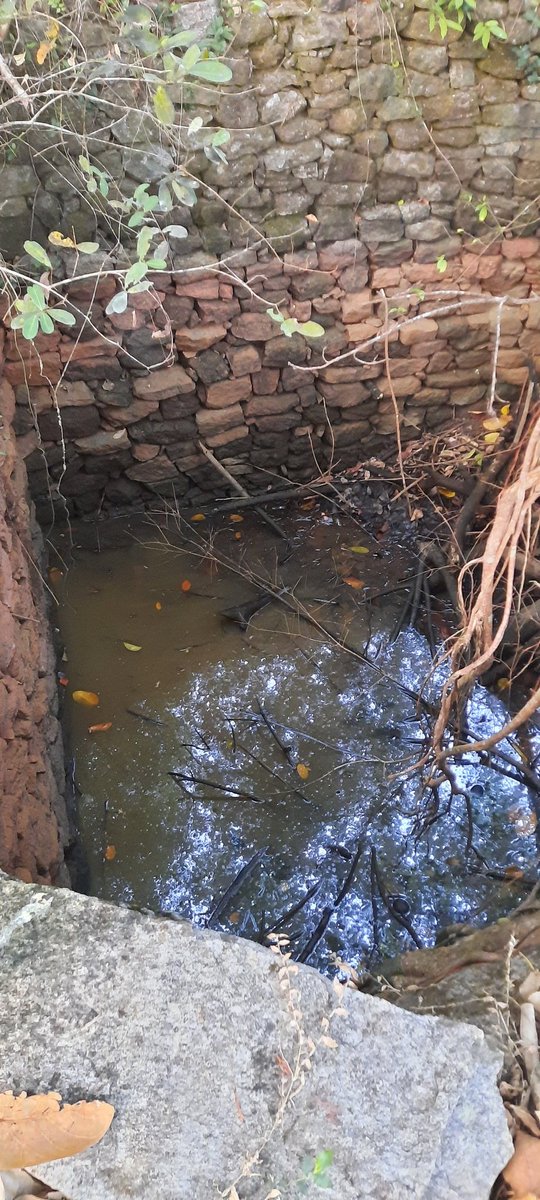 Mack_santo's tweet photo. Trying out Home-Made Minnow traps.
The traps were kept overnight and out of the 4 traps in 1 trap we were able to find Catfish.
#westernghats #minnowtrap #freshwater #trap #fishing https://t.co/nd8sculcgf