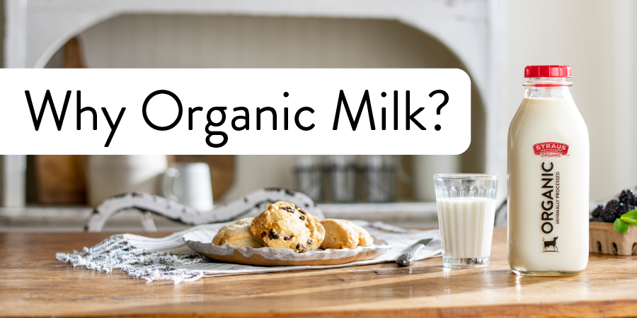 StrausOrganic's tweet photo. Join us in supporting clear labeling &amp; nutritional awareness for plant-based alternatives to help make informed decisions. When choosing #StrausFamilyCreamery, you're supporting our mission while enjoying the nourishing taste of real, organic milk. ▶️  https://t.co/spdPGW0cn0 https://t.co/dpBPmuZdot