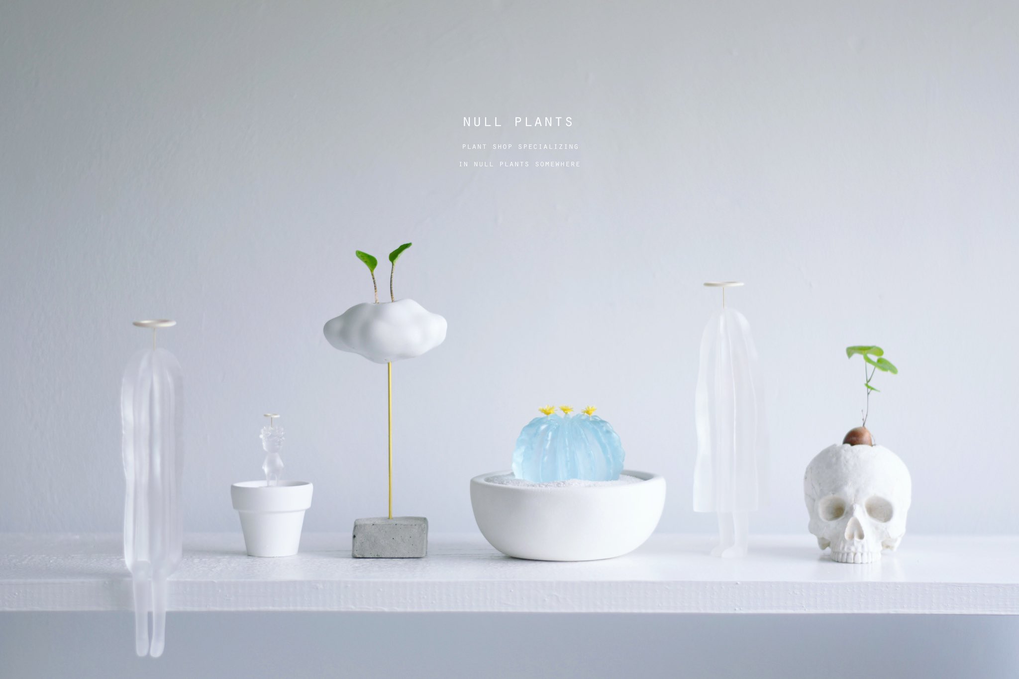 echidna サキュ天使 陣内啓治 多肉植物 サボ天使 ミニチュア ドール サボ天使 echidna サキュ天使 陣内啓治 多肉植物 サボ天使