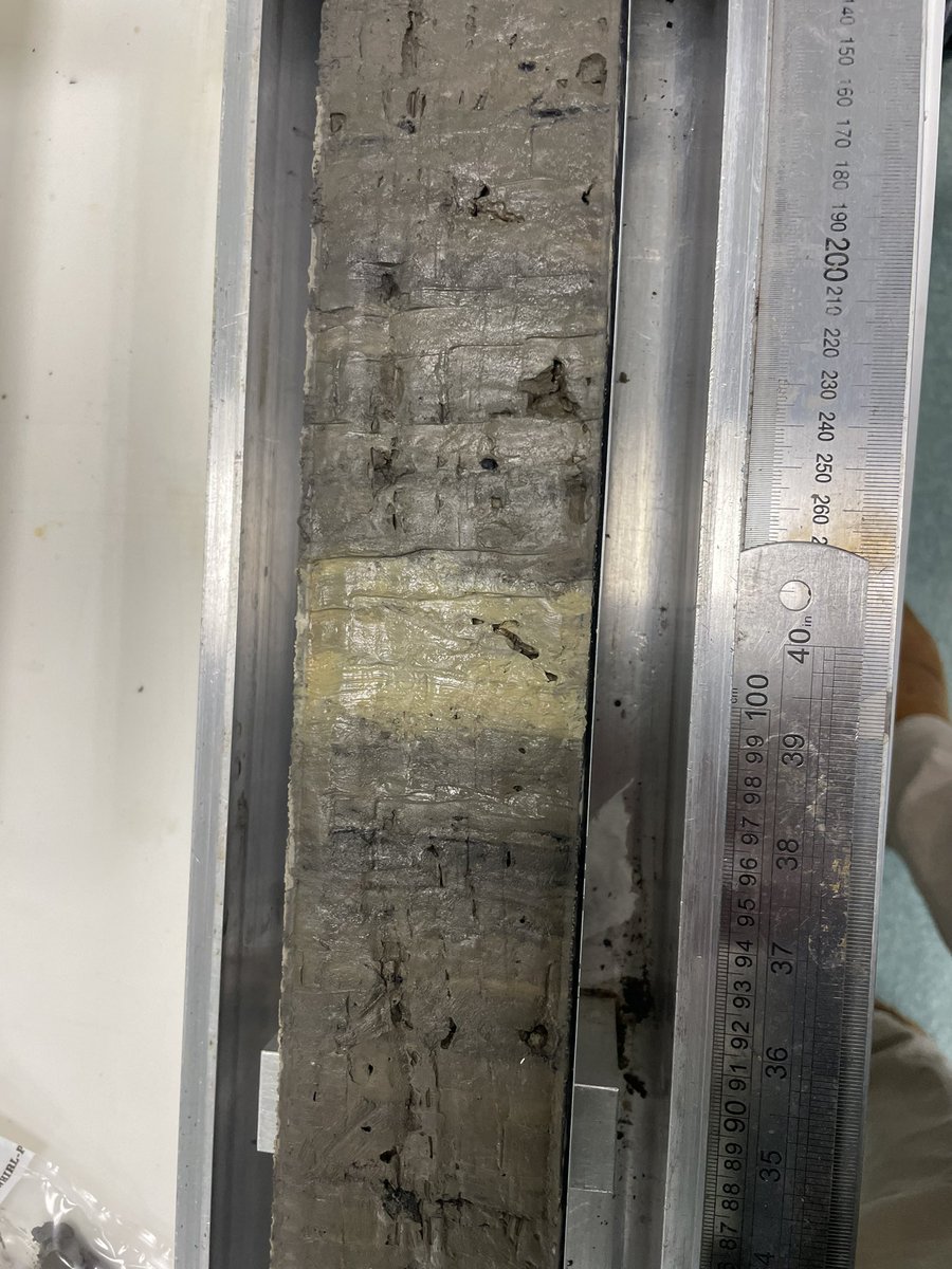 UOM Palaeoecology-Palaeoclimatology tweet media