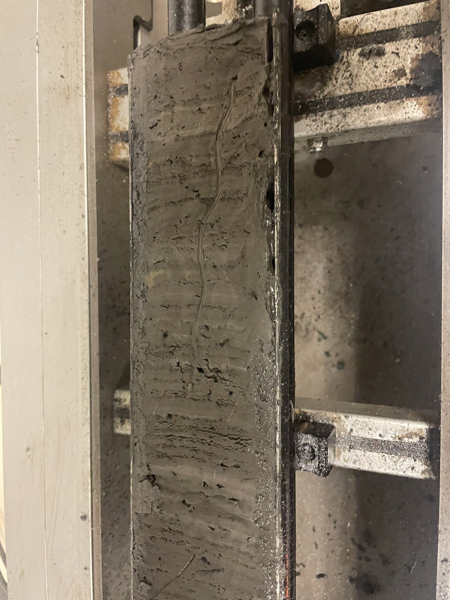 UOM Palaeoecology-Palaeoclimatology tweet media