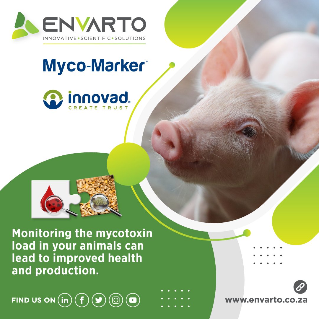 envarto's tweet image. Monitoring the mycotoxin load in your animals can lead to improved health and production. To learn more about the biomarkers used in the Myco-Marker® service, contact Lené van der Walt at 060 542 1769.

#animalhealth #mycotoxinmanagement #biomonitoring

@Innovadsa