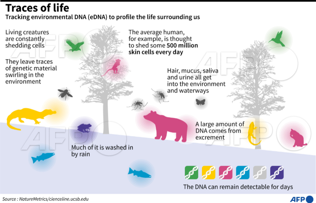 AFP's tweet photo. Traces of life: Tracking environmental DNA to profile the life surrounding us https://t.co/4GXdhIyzND