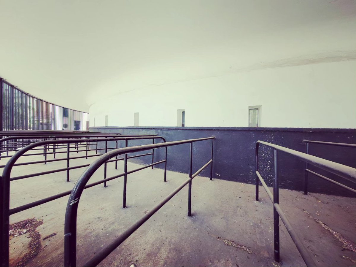 KFoogler's tweet photo. A walk around the site of OGC Nice's old ground, Stade du Ray. All that remains are the ticket offices on the south east corner along with an old mural.
#StadeduRay #ticketoffice #ticketbooth #footballlogo #footballbadge #footballhistory #OGCNice #billetterie https://t.co/kfLLEJhaIa