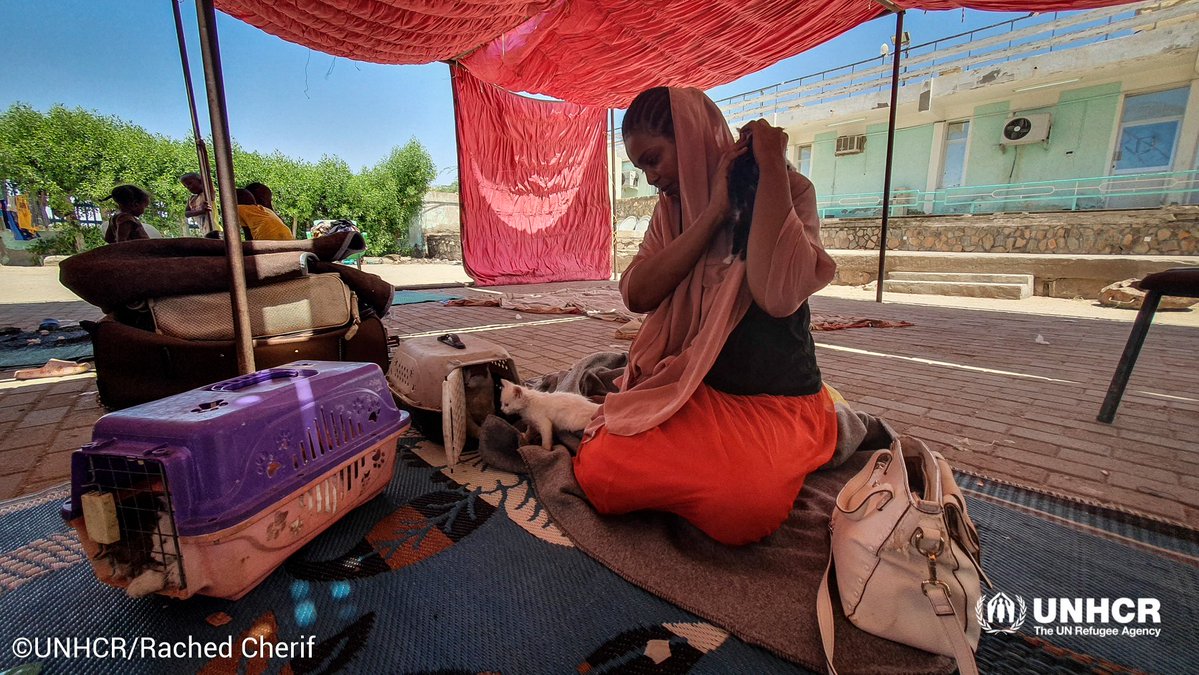 UNHCRinSudan's tweet photo. #UNHCR initiated an interagency assessment to identify urgent needs among refugees &amp; displaced communities in Port #Sudan🇸🇩 in terms of protection, shelter, food, health, etc.

Together with partners🫱🏾‍🫲🏼, we're committed to addressing the challenges faced by vulnerable populations. https://t.co/G3dtm0vy8d