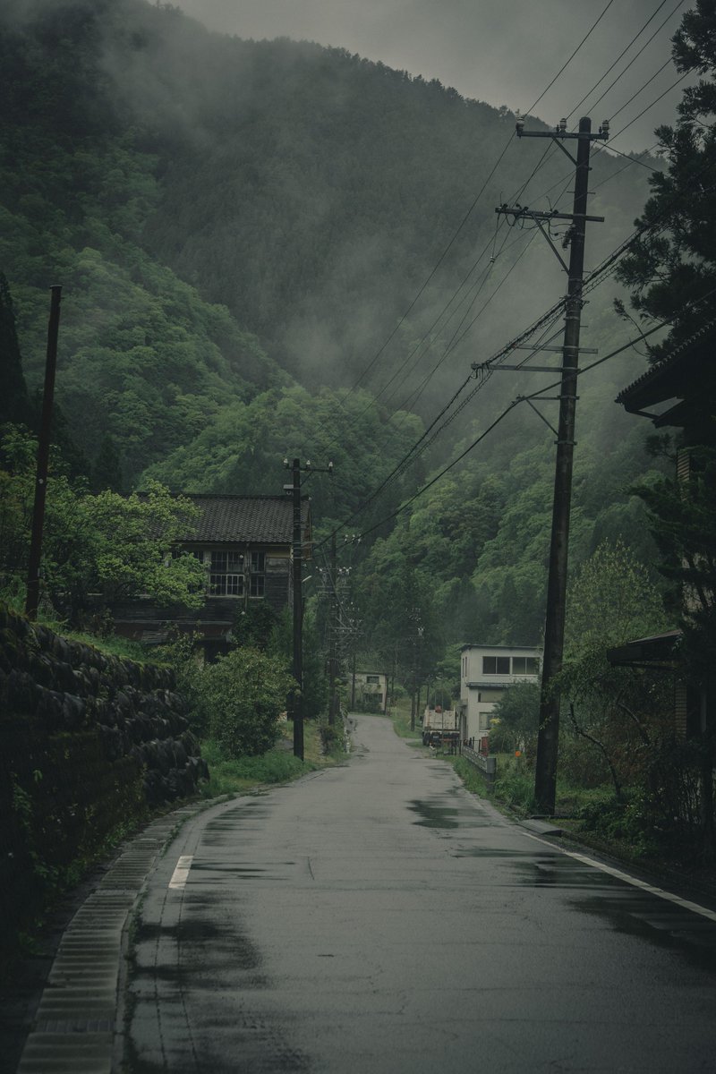 朝、雨の中の田舎道を歩く。