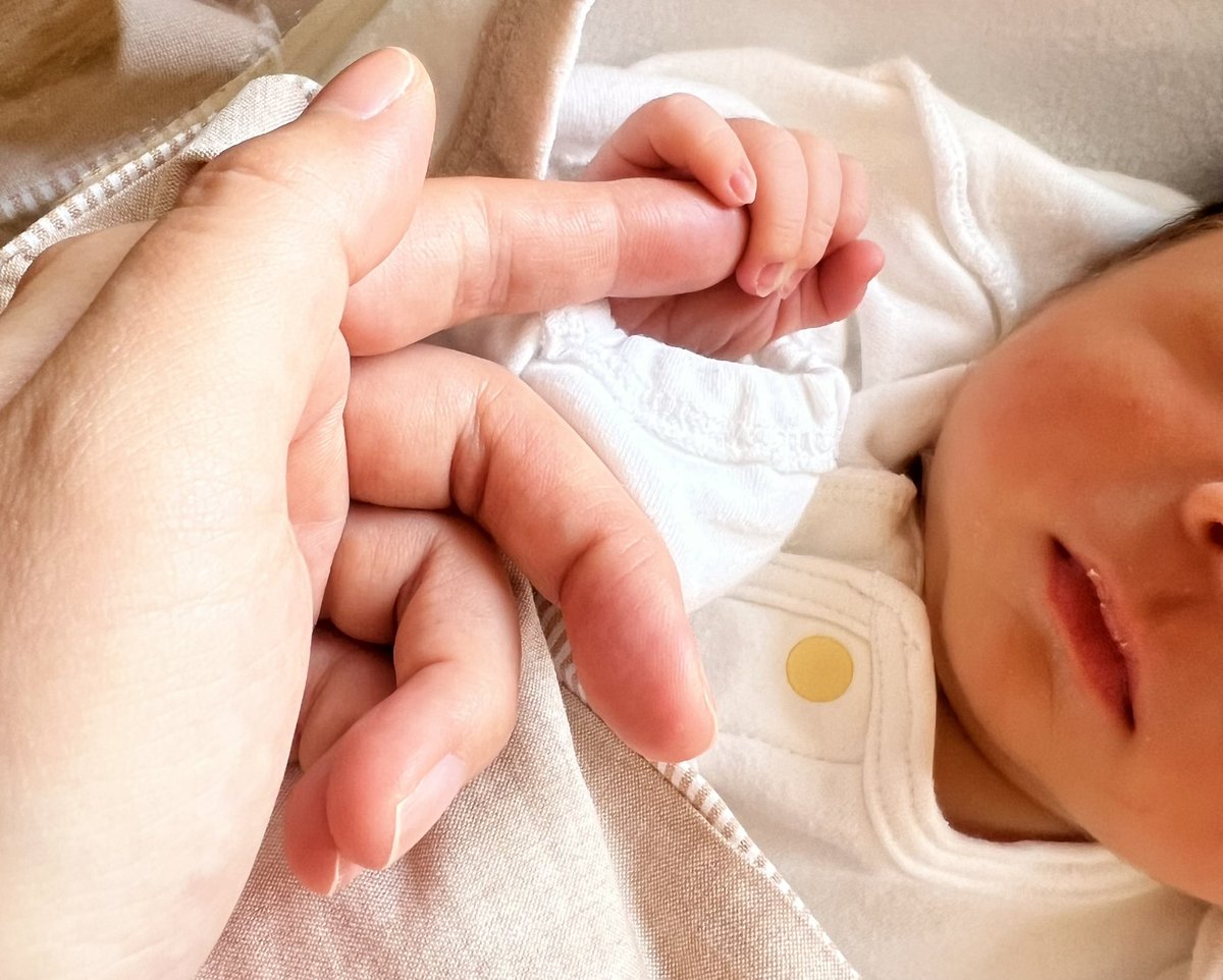 萌音🍒mone。 tweet media