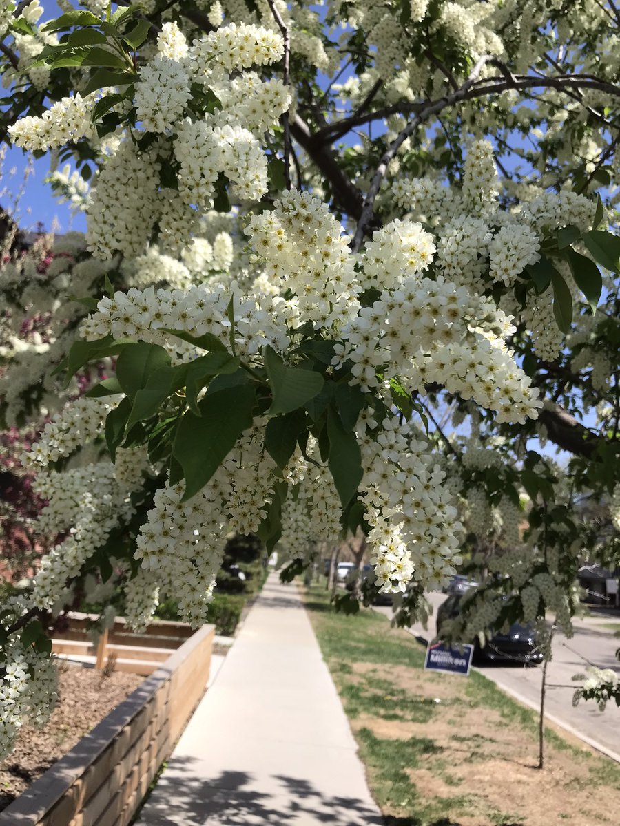 everydaytourist's tweet photo. It doesn’t get much nicer than this. Any guesses where in Calgary this is? #calgary365 https://t.co/2C9wHknFFP
