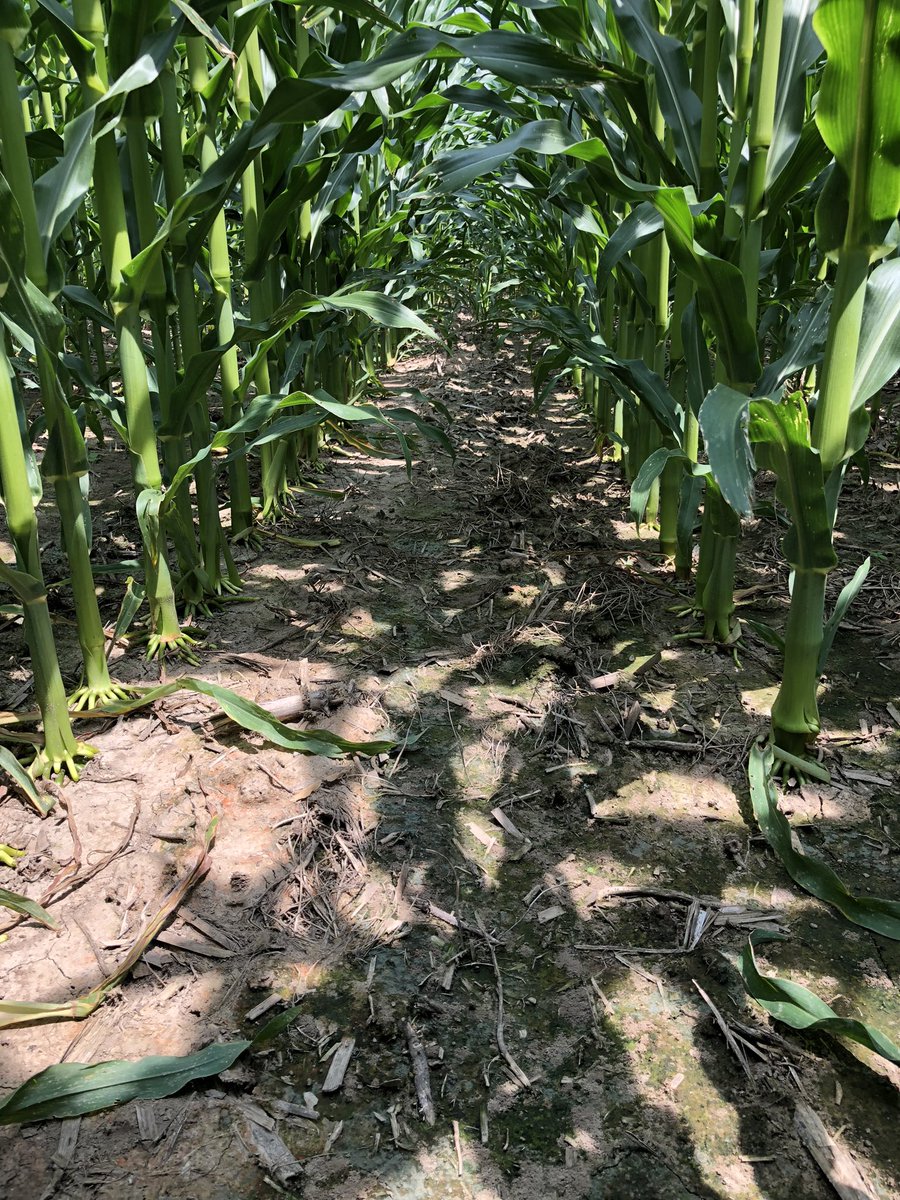 Joshua Valier tweet media