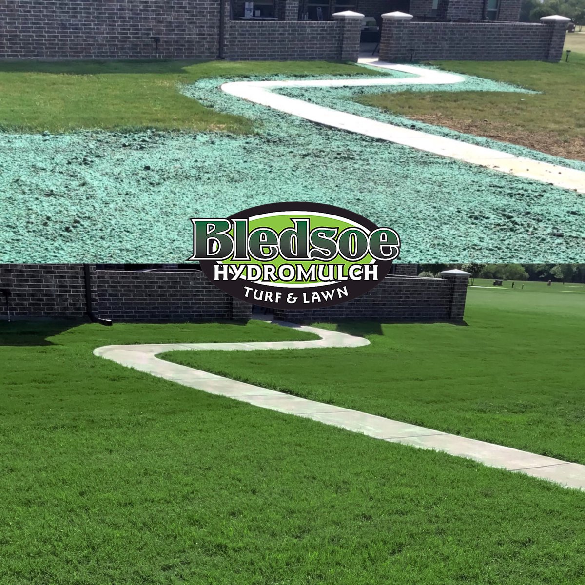 hydromulch's tweet photo. ☹️Do you have a struggling Bermuda lawn that needs to be rejuvenated in some areas?

🎉We can help!

🌱We are able to match our hydromulch to your current species of Bermuda and recreate a beautiful and cohesive look!

📲Call now to schedule your free estimate at (214)784-5402 https://t.co/hza5aO7jmf