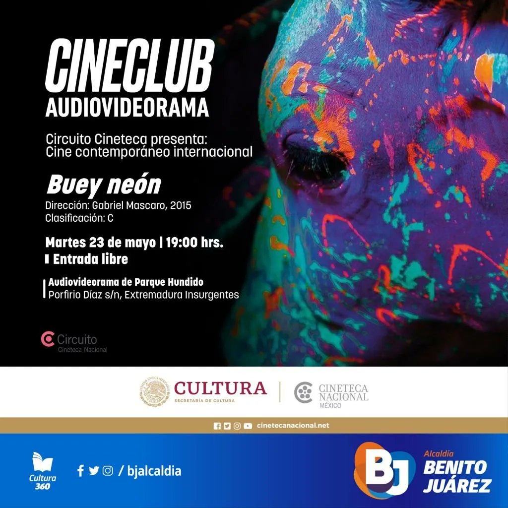 No olvides que todos los martes son de Circuito @CinetecaMexico en el Audiovideorama.
Te esperamos!
#CulturaBJ🎬
🗓️23 de mayo 
📍 Audiovideorama del Parque Hundido
🎟 Entrada libre
