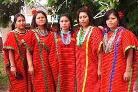 CLCv433cuicatec's tweet photo. ¡Descubre la belleza de la lengua cuicateca! Acompáñanos en este viaje por una de las lenguas indígenas más fascinantes de México. #Cuicateca #CulturaIndígena
-RCL https://t.co/4biybCabTO