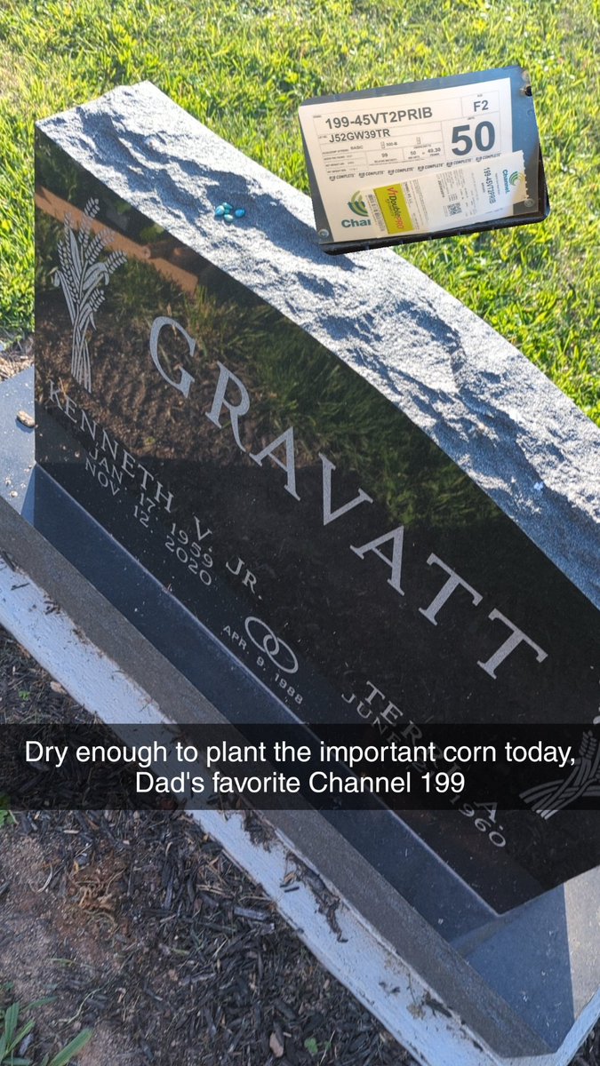 The most important corn is planted.