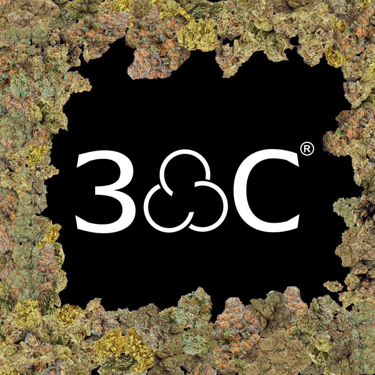 3C_Brand's tweet photo. #3C https://t.co/laSO55ihZS