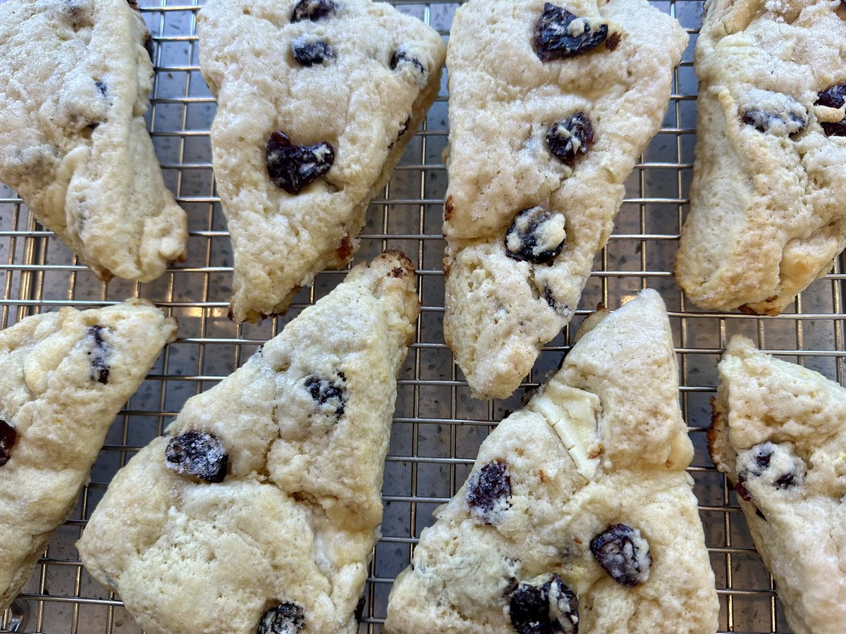 916Cooks's tweet image. White Chocolate &amp;amp; Dried Tart Cherry Cream Scones

Pondering this combo for awhile which we thought would be good … we were wrong … they are sensational!  We served these scones for our daily Fika with a pour coffee made with fresh Camellia Coffee Roasters Kenyan beans. Yum!
