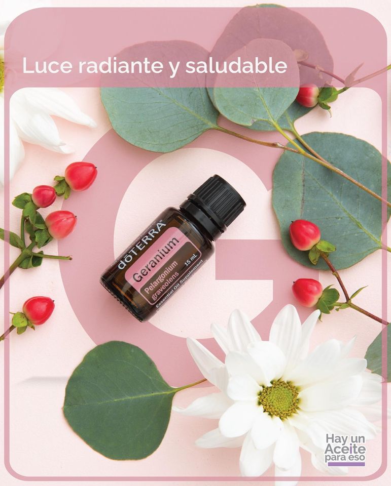 essentialpanama tweet media