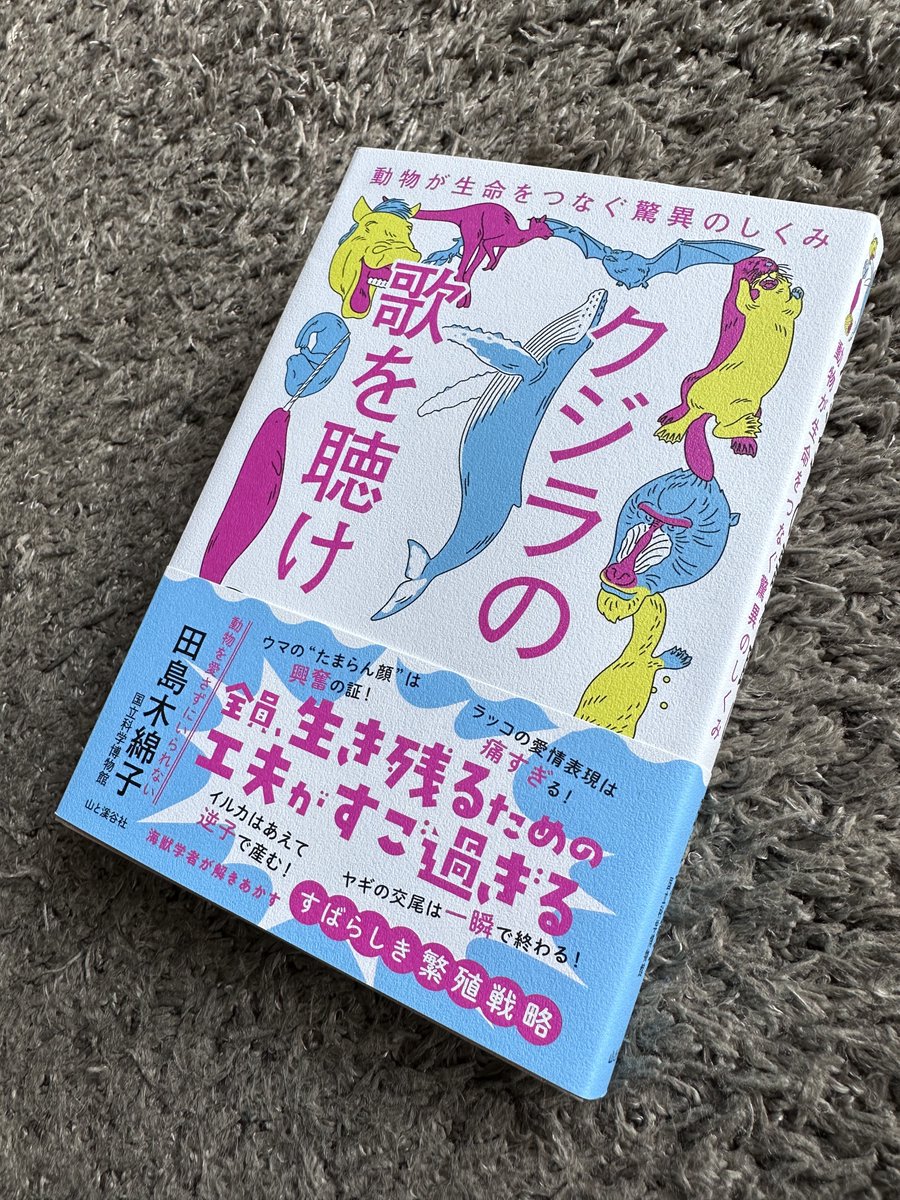 ヤマケイの本 (@yamakei90_) Twitter クジラの歌を聴け 動物が生命をつなぐ驚異のしくみ/田島木綿子