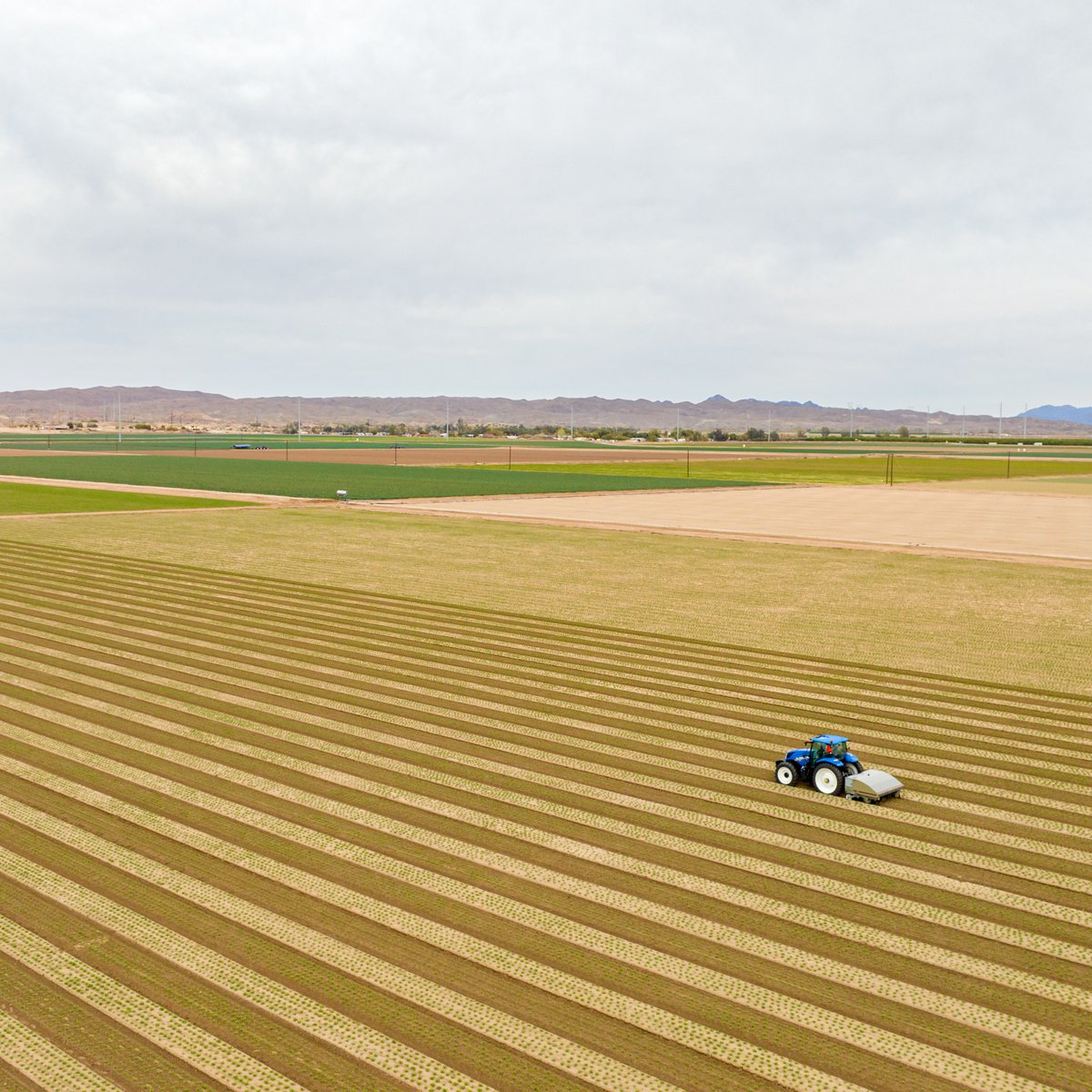 StoutAgtech's tweet photo. We like to say the sooner, the better. ⏲️

One of the best ways you can improve your farming practices is by eradicating #weeds as early as possible. With #aiweeding technology, our Smart Cultivator is not only improving yield but margins as well. 

#agtech #weeding #stoutagtech https://t.co/KGAgHV3YtZ