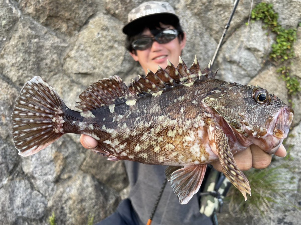 wocadaaa's tweet photo. 見覚えのある魚🐟
ワインドでまたまたデッカサゴキャッチ👍
写真で見返すと前に釣った子🔥🔥
■#apia #BruteHR #HarborVersatile77MX
■#Daiwa #CertateLT2500SXH
■ #LIVRE #ユニオン52_58 #さくらリミテッド
■#XBRAID #UPGRADE_PE_X4 0.8号
#MonsterbraveZ 12lb
■#DreemUP
#DDHead25
#Dart8_25 https://t.co/HysOfMLSm6