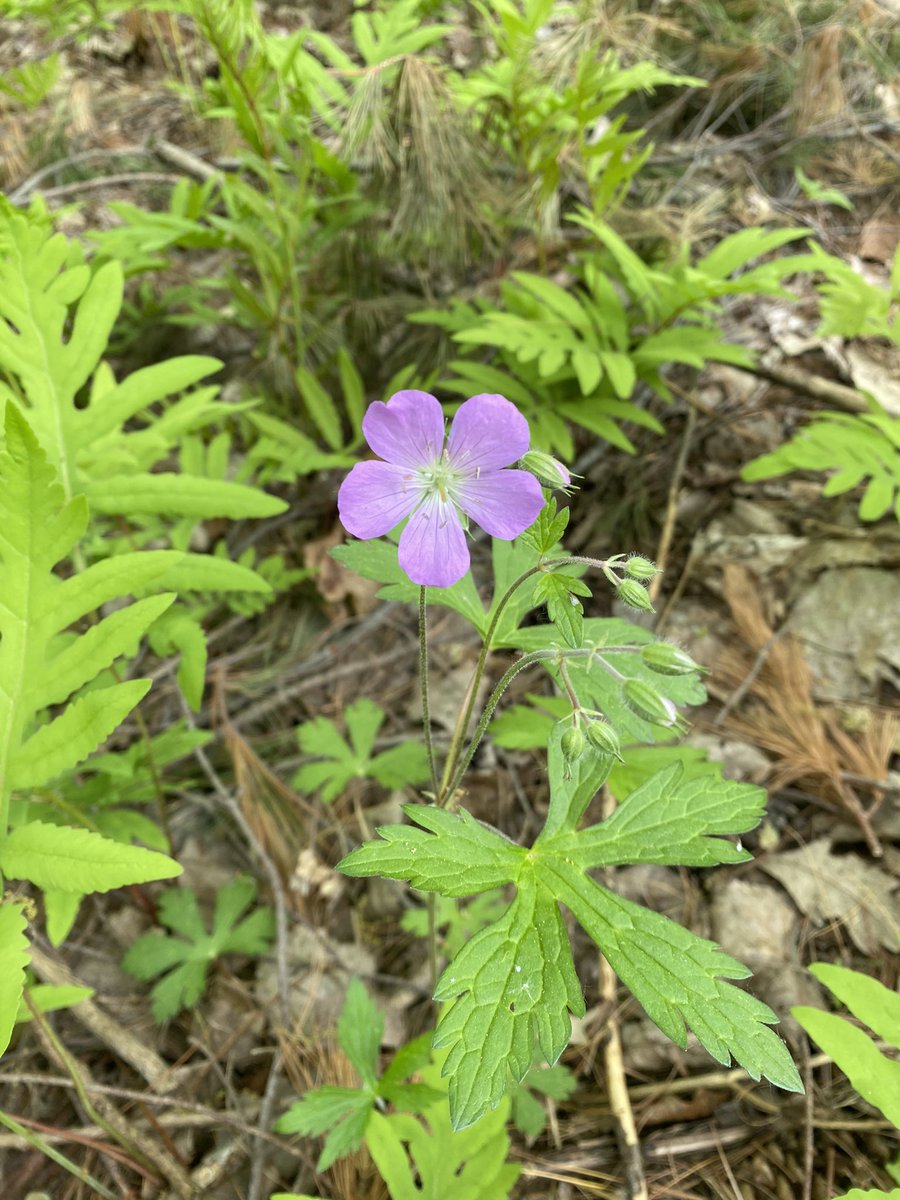 Andrea Rogers Barry (@andrearbarry) on Twitter photo 