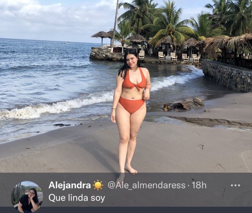shitpene tweet picture
