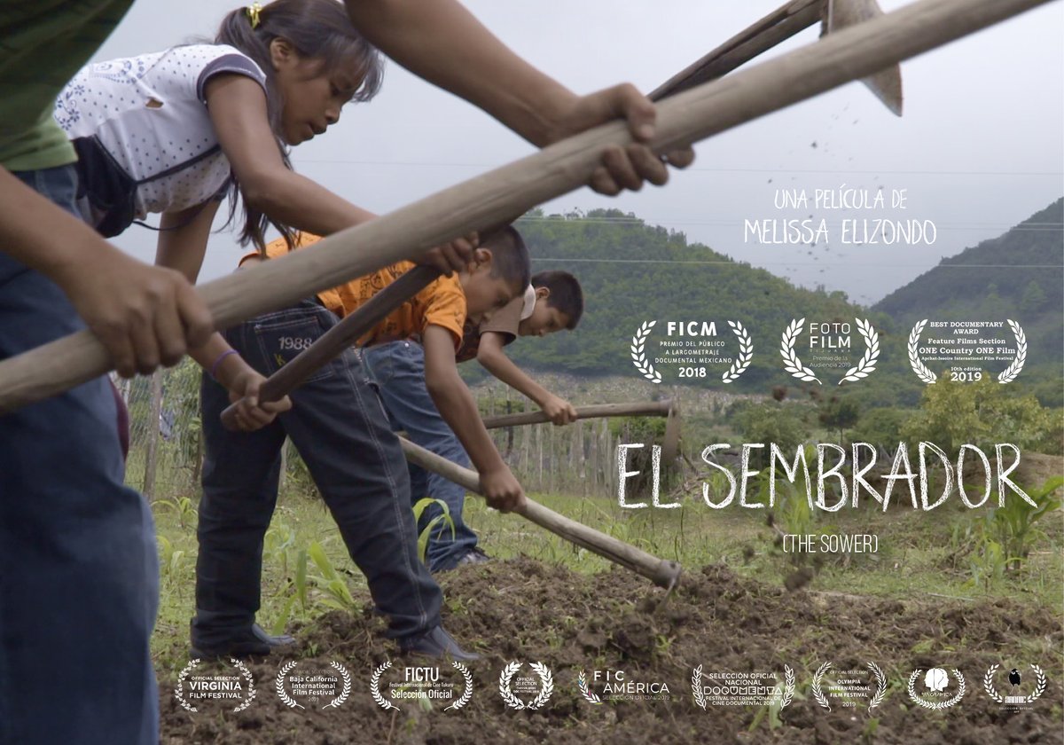 DocsMX's tweet image. #Recomendadocs 
El documental «El sembrador», de Melissa Elizondo, enseña el amor por la docencia a través de una historia sobre un educador rural en Chiapas.

Disponible a partir de hoy en la @CinetecaMexico.