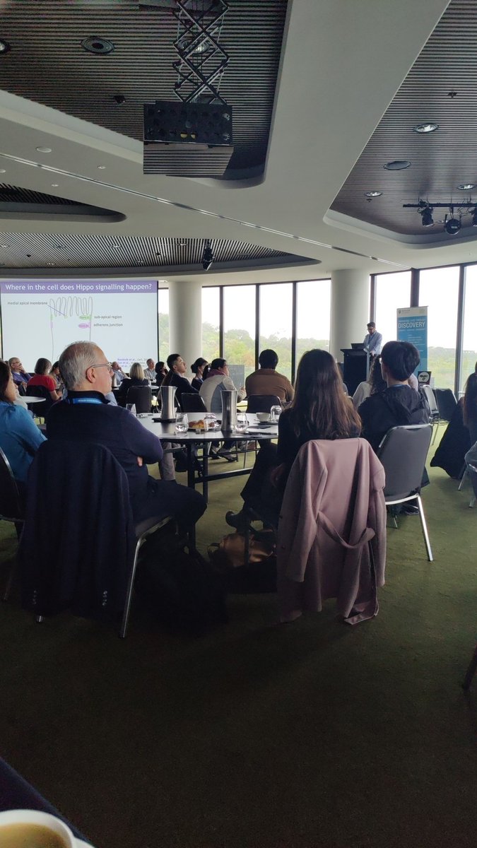 Great talk by Kiera Harvey to kick off day 2 on Hippo signalling #CSTI2023