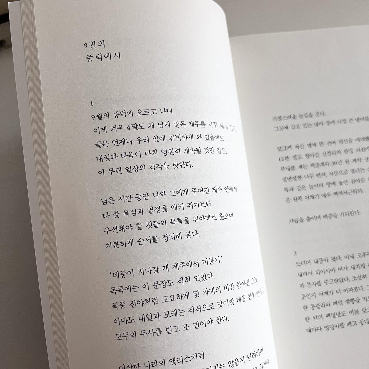 별책부록 서점 tweet media