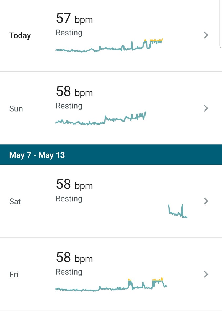 Shoshana Weissmann, Sloth Committee Chair 🦥 tweet media